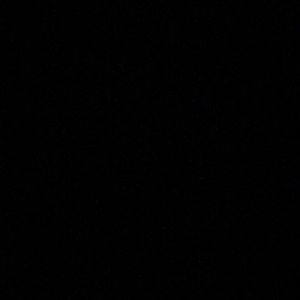 Meet your Posher, Dylan